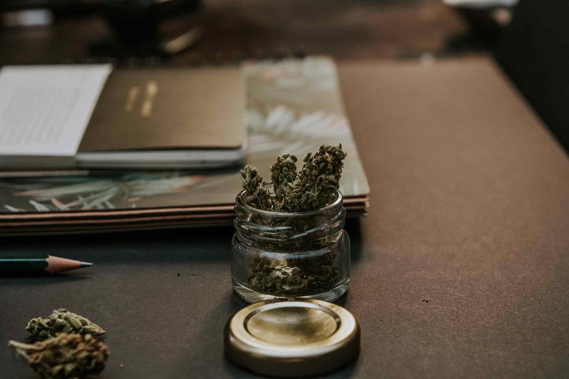 5 Cannabis Related Websites to Visit