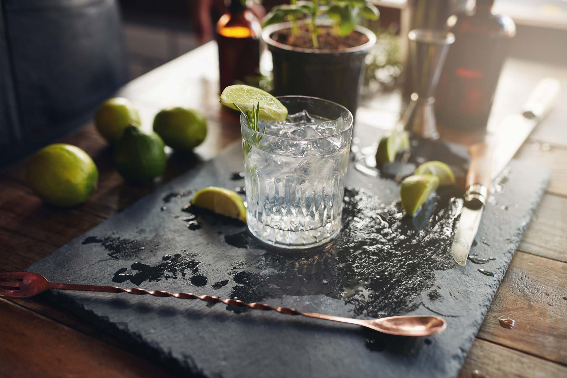 5 Amazing Drinks Made With Gin